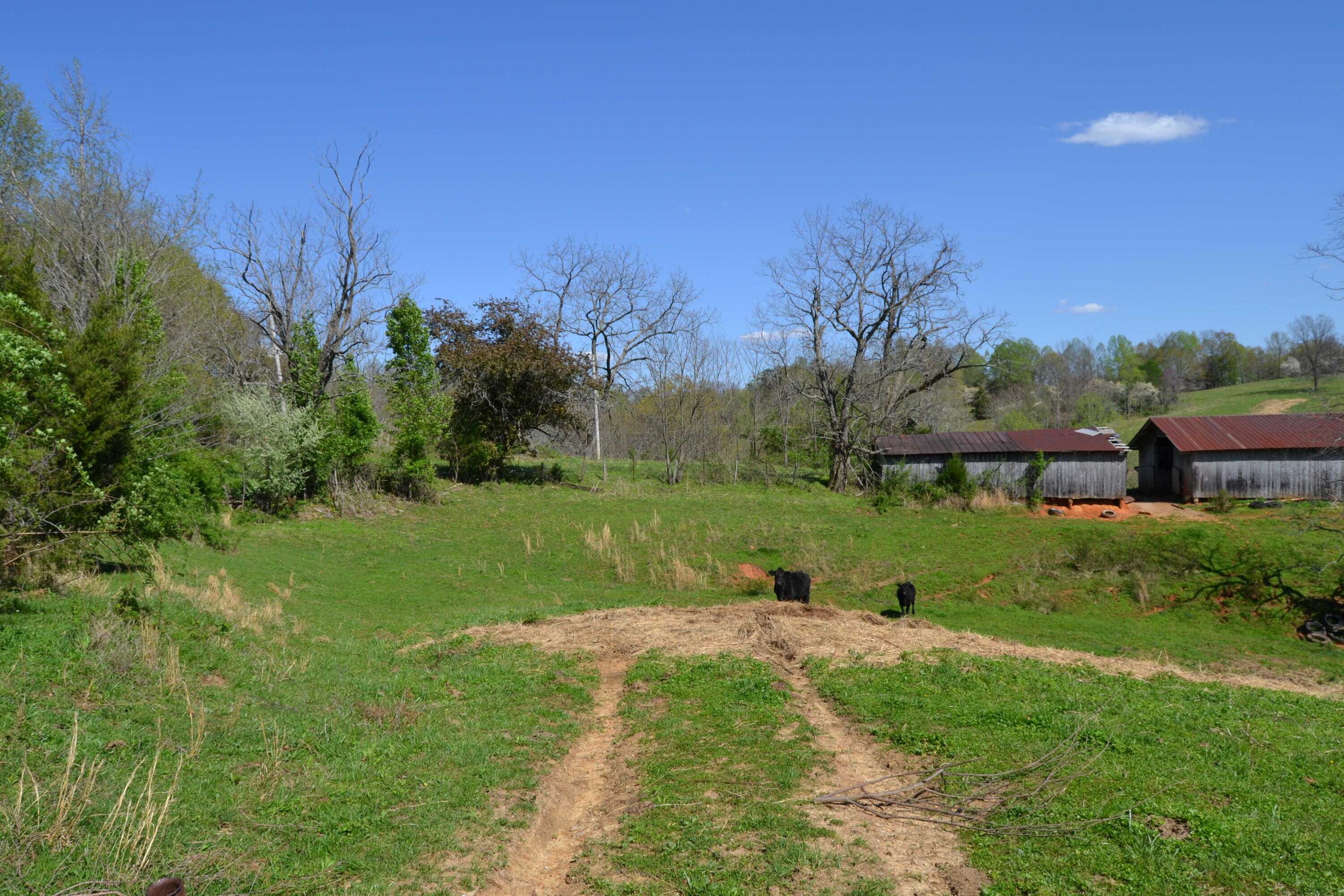 Davis Road Livingston, TN 38570 - Photo 6 of 16 6