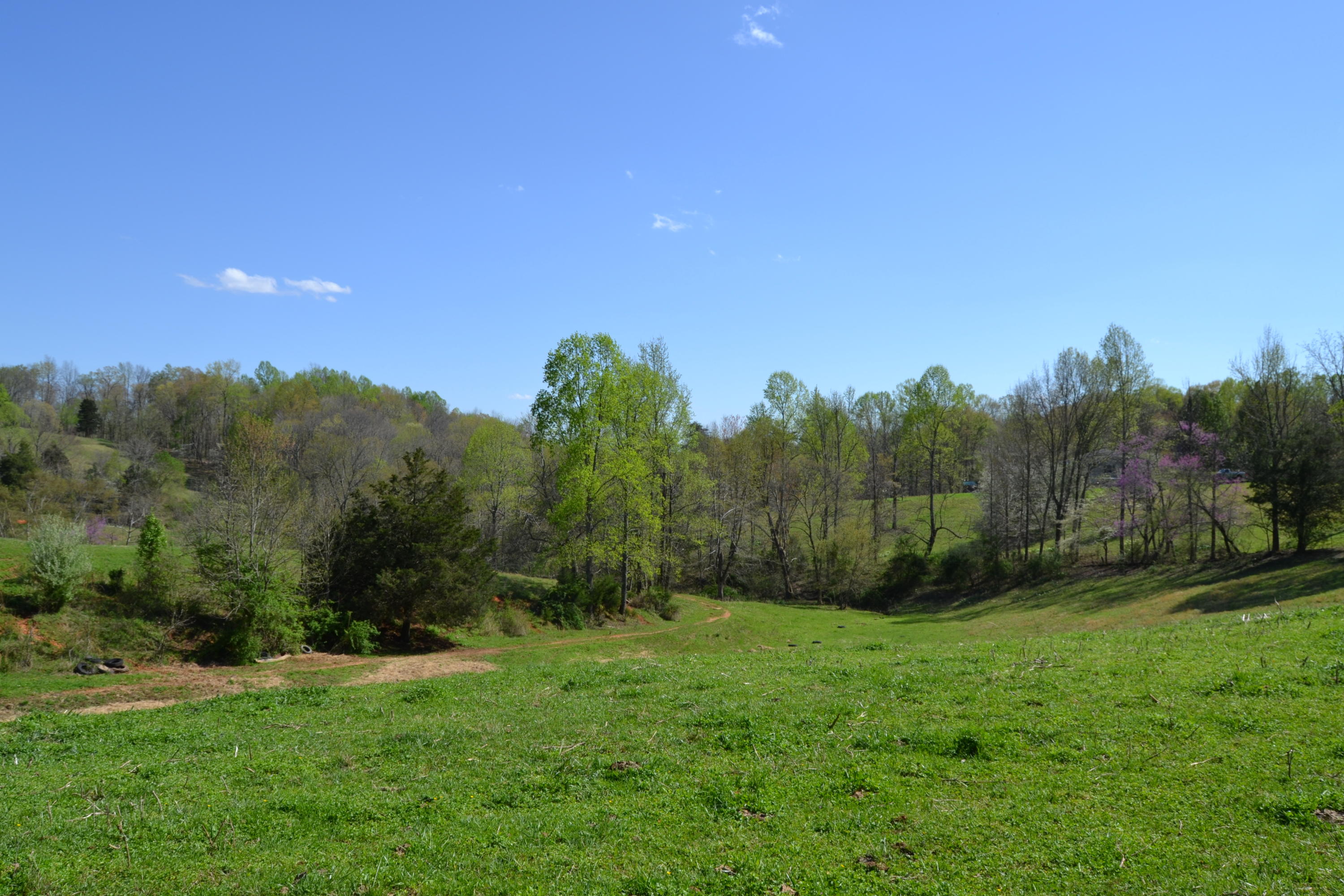 Davis Road Livingston, TN 38570 - Photo 8 of 16 8