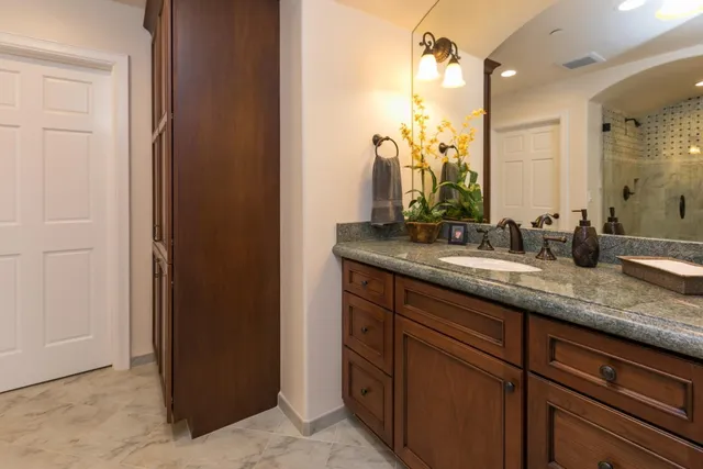 a view of a backyard with plants