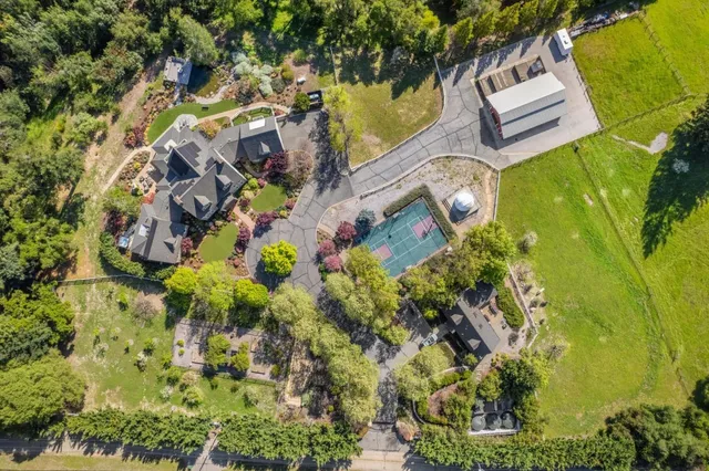 a view of a street with potted plants and more windows
