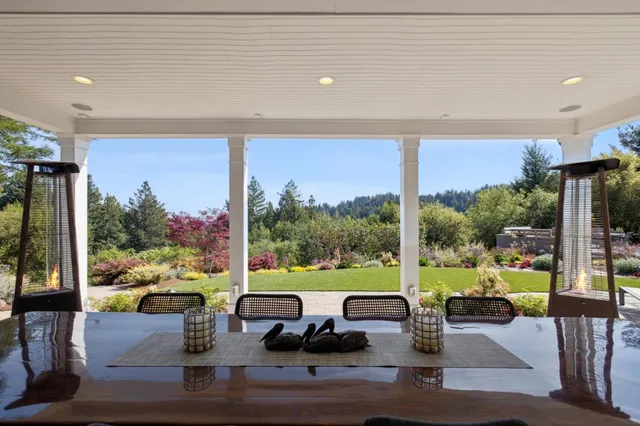 a living room with furniture potted plant and a window