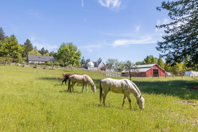 $7,995,000 | 23020 Old Santa Cruz Highway, Los Gatos, CA 95033