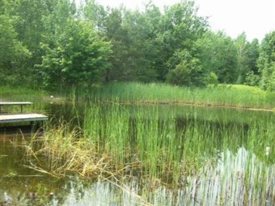 1225 North Bossett Road Ravenna, MI 49451 - Photo 16 of 17 Pond