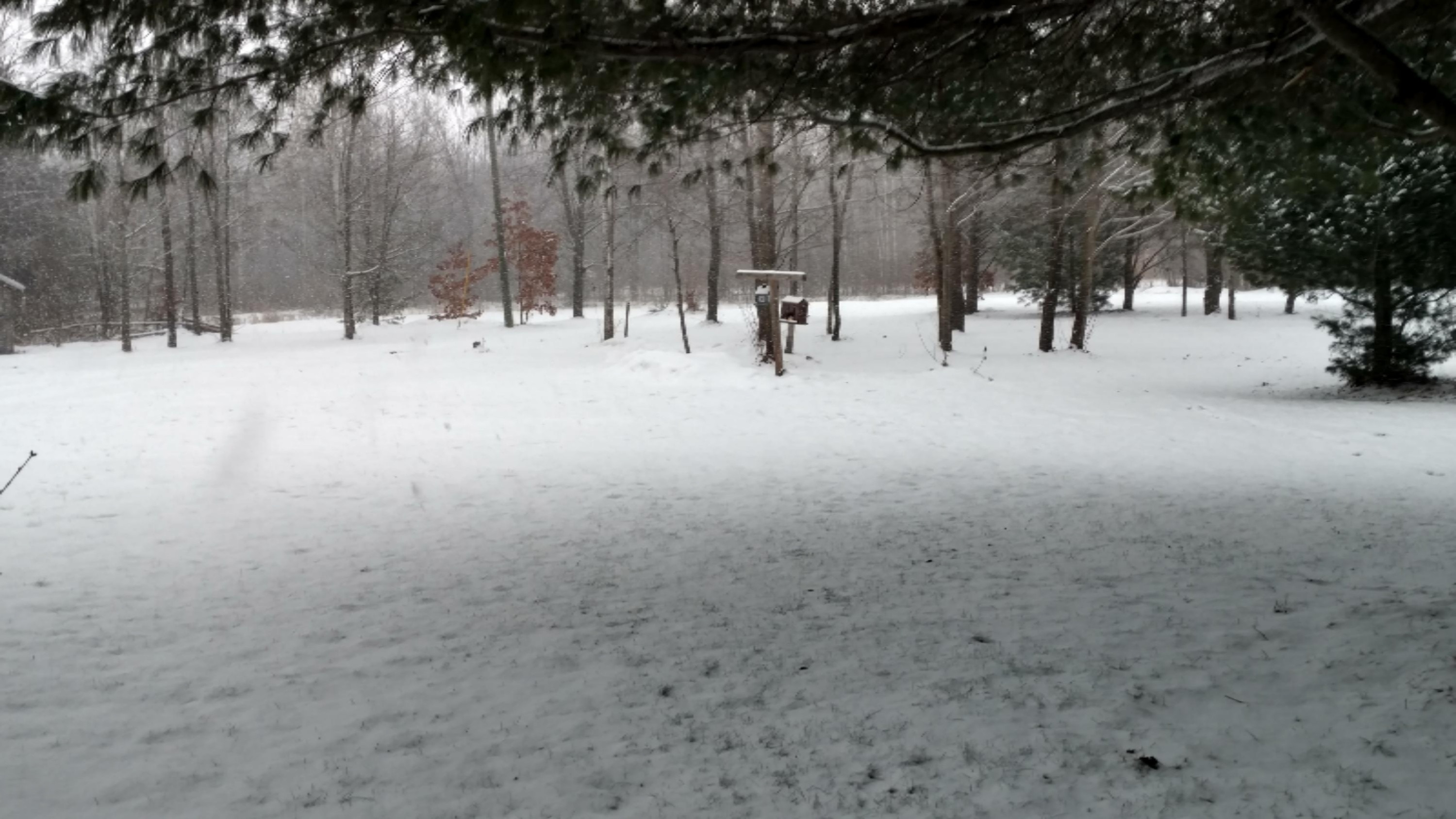 front yard