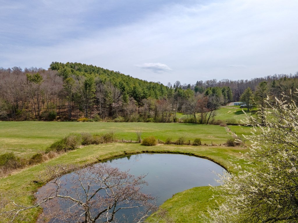 1818 Pipers Gap Road Galax, VA 24333 - Photo 11 of 52 Gallery Image 11