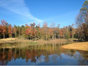 1 Rr Solsberry, IN 47459 - Photo 1 of 7 Gallery Image 1