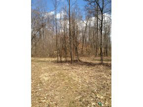 1 Rr Solsberry, IN 47459 - Photo 4 of 7 Gallery Image 4