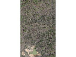 1 Rr Solsberry, IN 47459 - Photo 6 of 7 Gallery Image 6