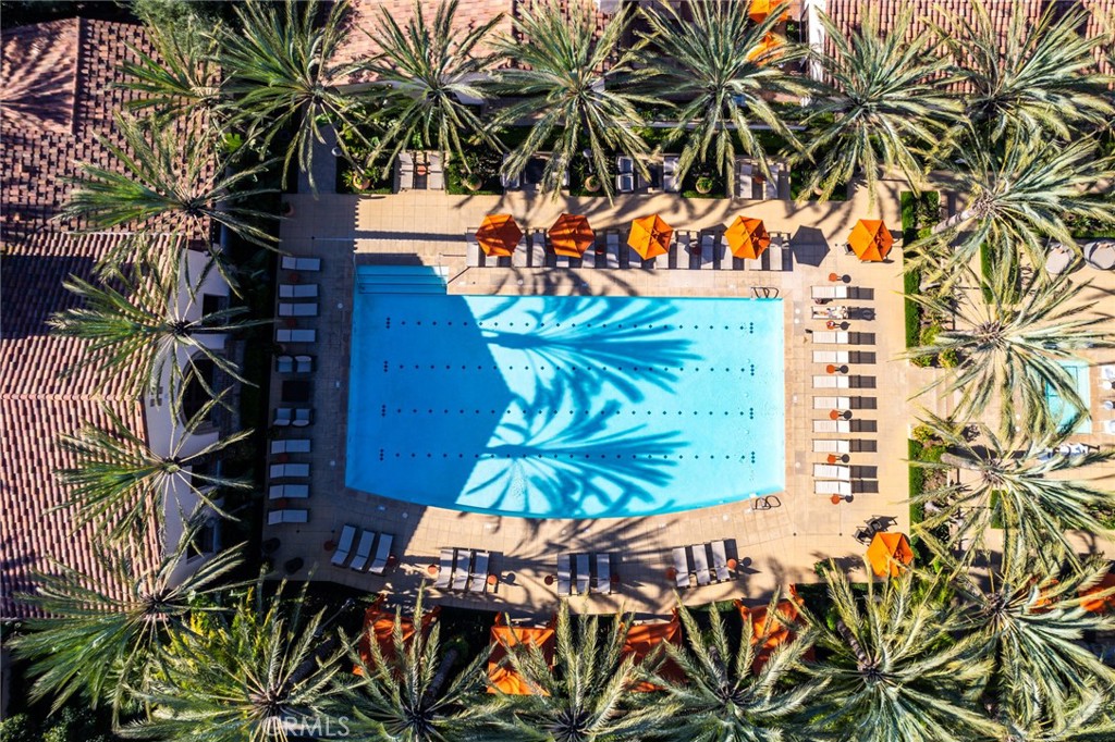 121 Calypso Irvine, CA 92618 - Photo 55 of 60