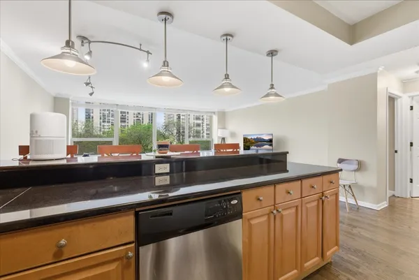 $2,600 | 1360 North Sandburg Terrace, Unit 510C, Chicago, IL 60610