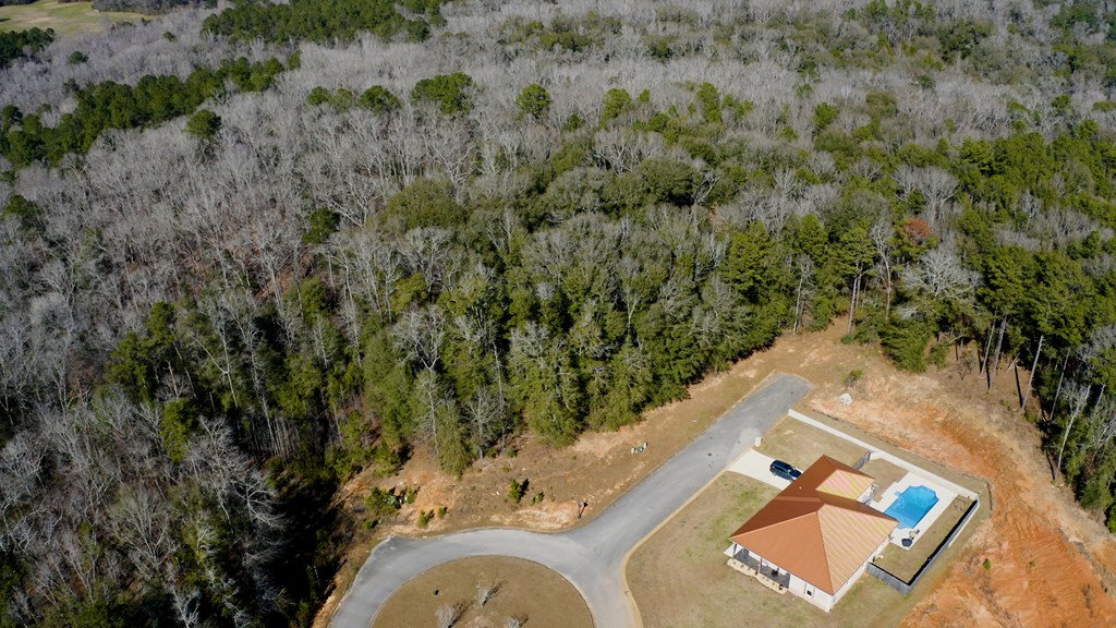 143 Old Village Road Ozark, AL 36360 - Photo 15 of 16