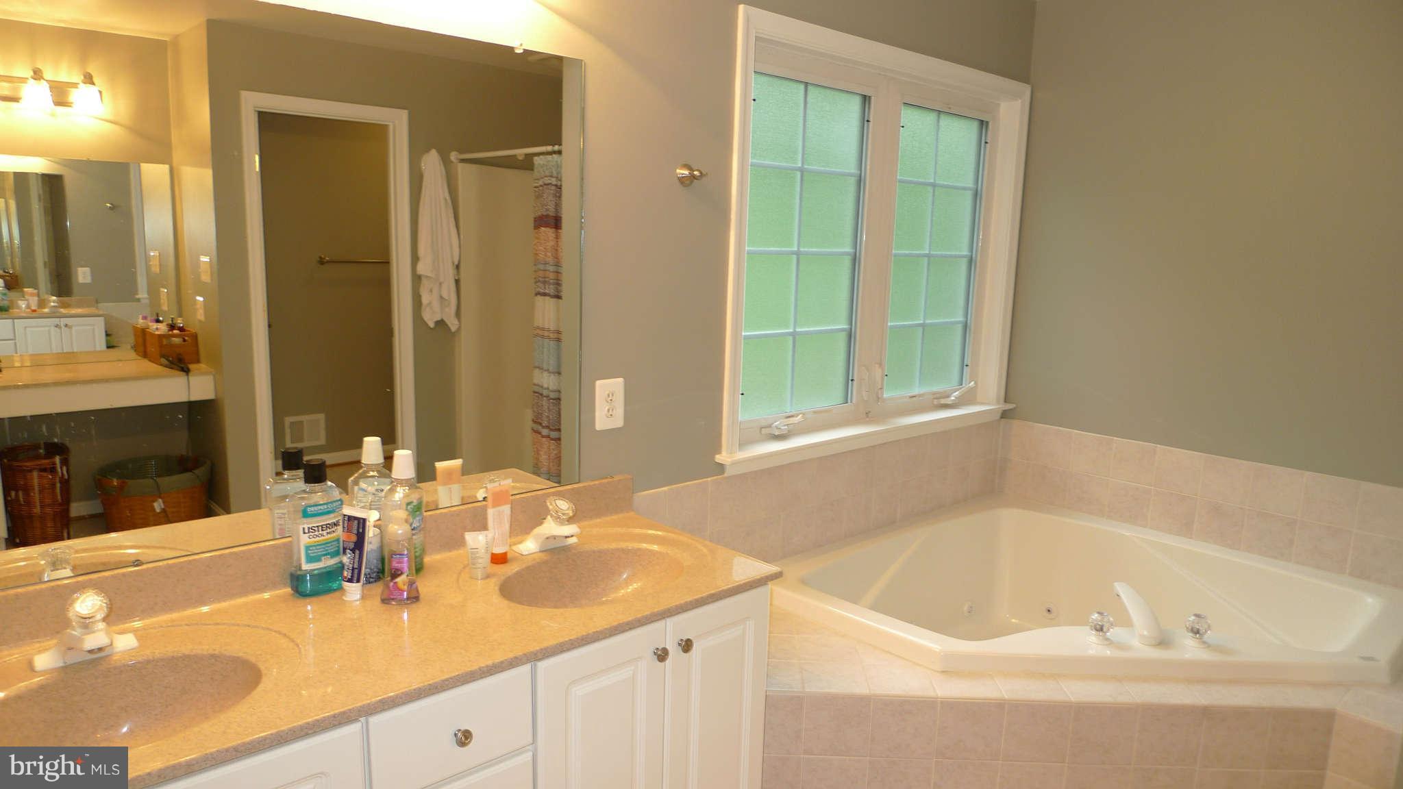 3366 Basford Road Frederick, MD 21703 - Photo 28 of 30 a bath tub sitting next to a bathroom sink