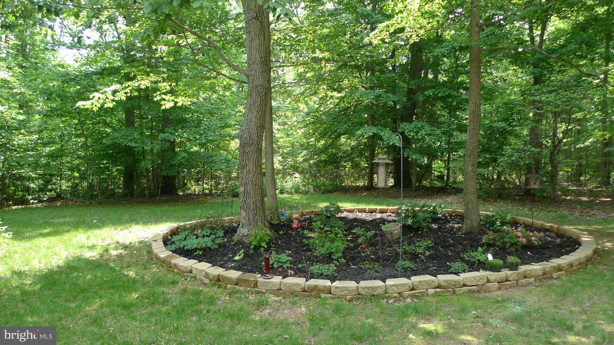 3366 Basford Road Frederick, MD 21703 - Photo 6 of 30 a view of a garden with a fountain