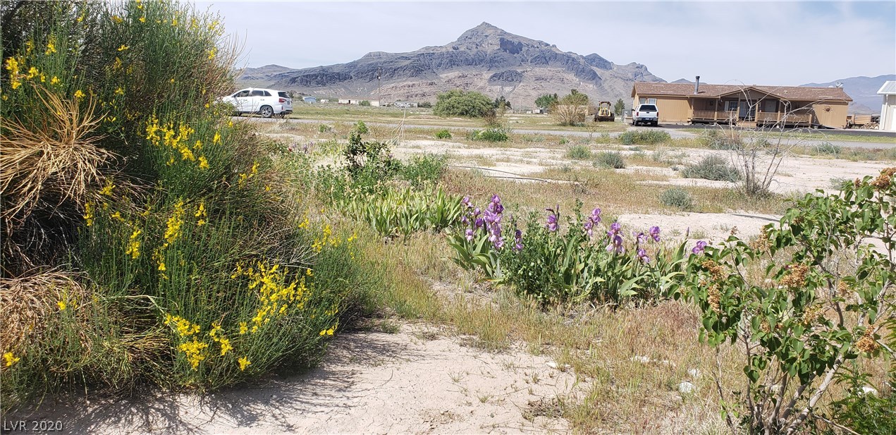 3841 West Blosser Ranch Road Pahrump, NV 89060 - Photo 18 of 30 Gallery Image 18