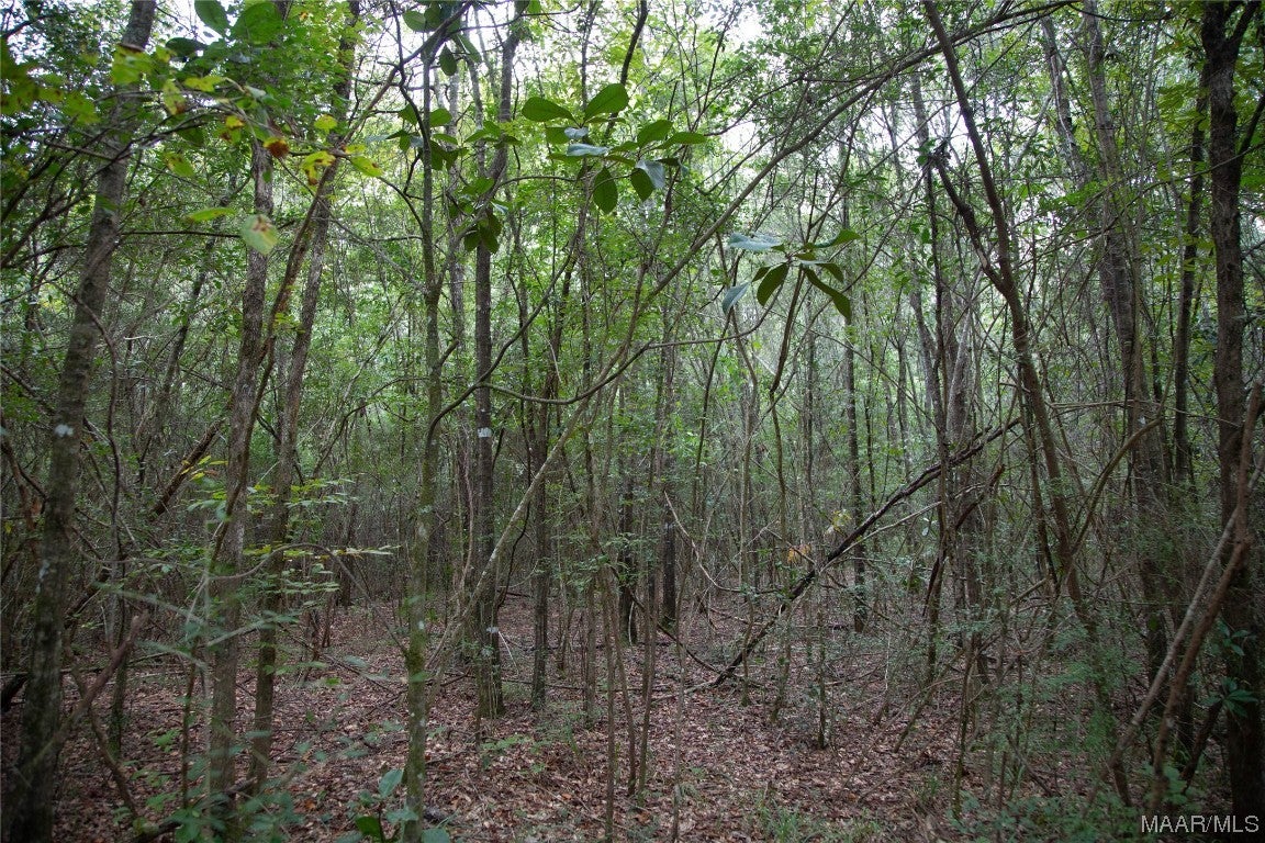 10 County Road 10 Samson, AL 36477 - Photo 15 of 22 Gallery Image 15