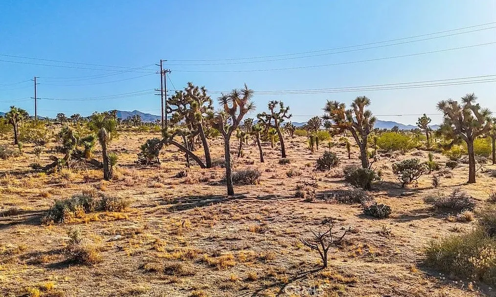 7645 La Contenta Road Yucca Valley, CA 92284 - Photo 12 of 14 a view of a yard with wooden fence