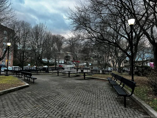 a park with benches and trees