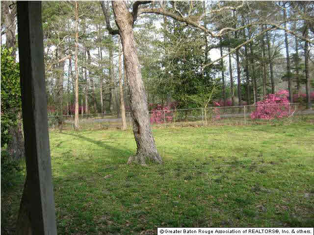 19356 Palmer Road Livingston, LA 70754 - Photo 11 of 12 Gallery Image 11