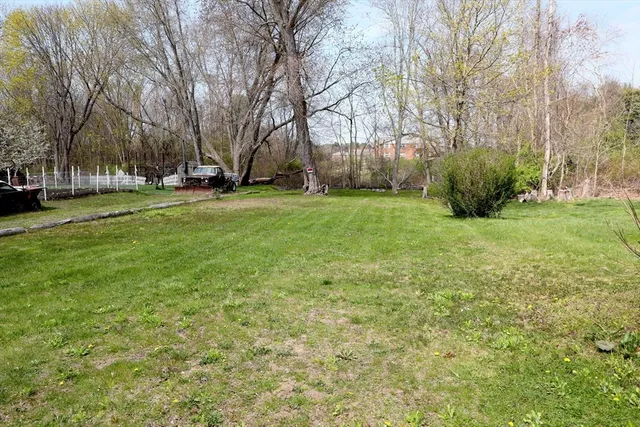 a view of a garden with trees