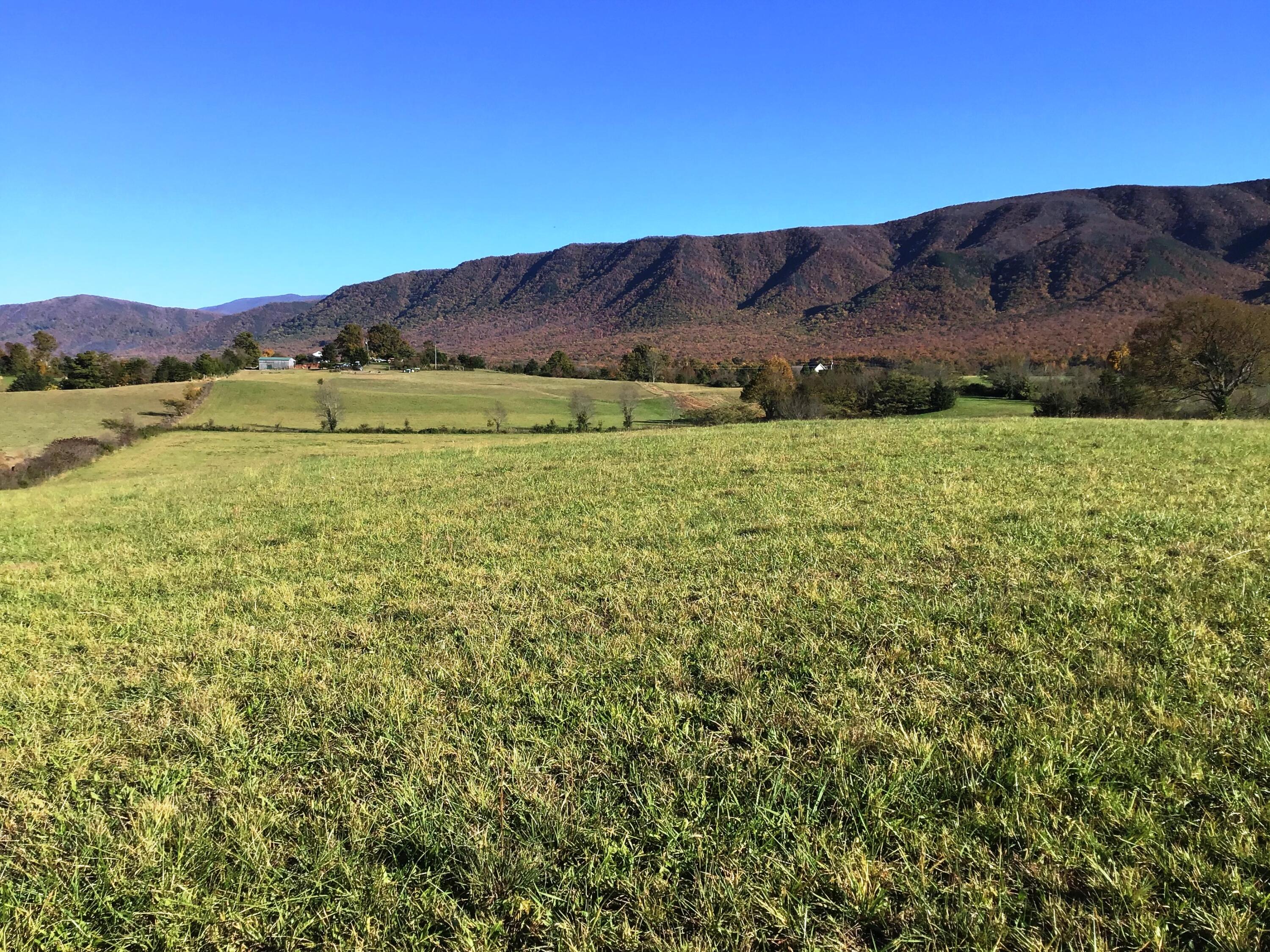 Lot 12 Sunnydale Road, Unit 12 Greeneville, TN 37743 - Photo 3 of 11 Sunnydale Rd 3
