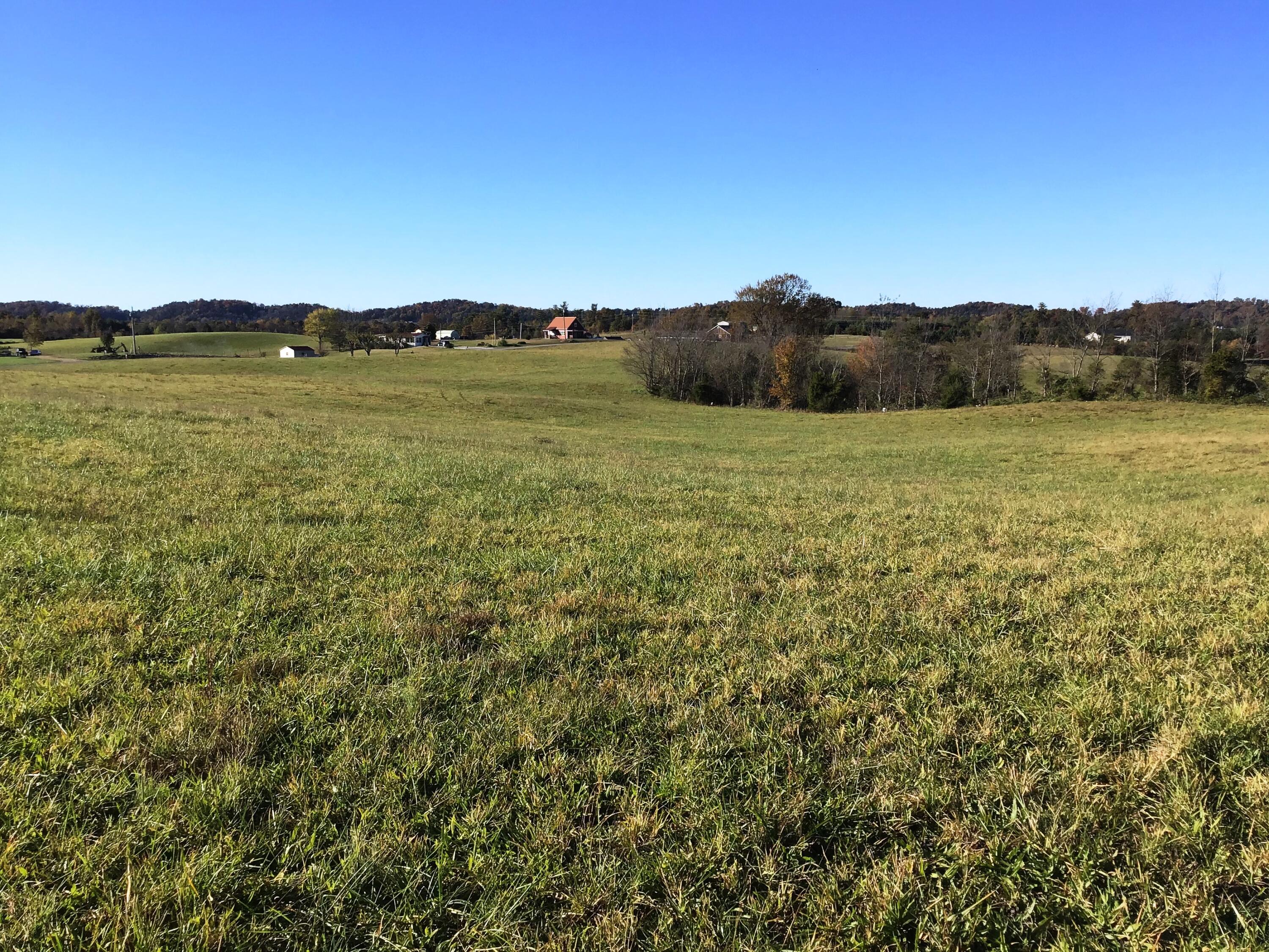 Lot 12 Sunnydale Road, Unit 12 Greeneville, TN 37743 - Photo 4 of 11 Sunnydale Rd 4