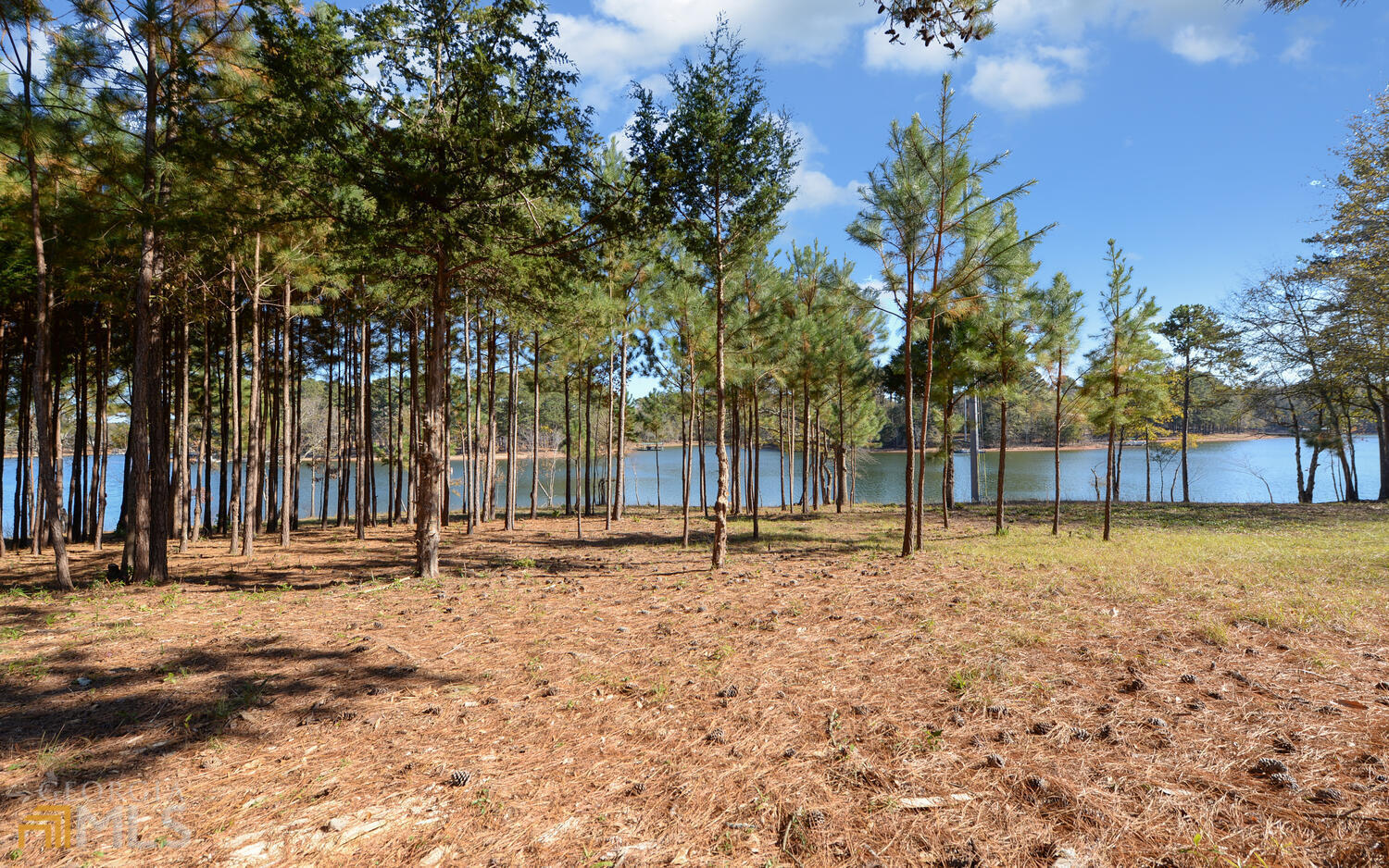 0 Rigby Road, Unit LOT 5 Hartwell, GA 30643 - Photo 1 of 1 a backyard of a house with lots of green space