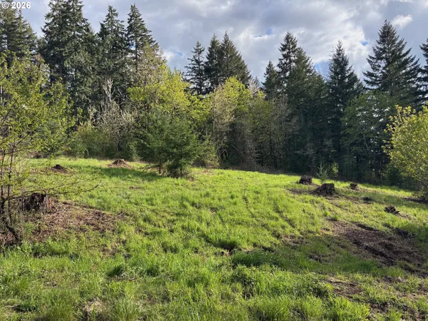 $250,000 | 0 Kings Ridge Road, Unit 580533, Dallas, OR 97338