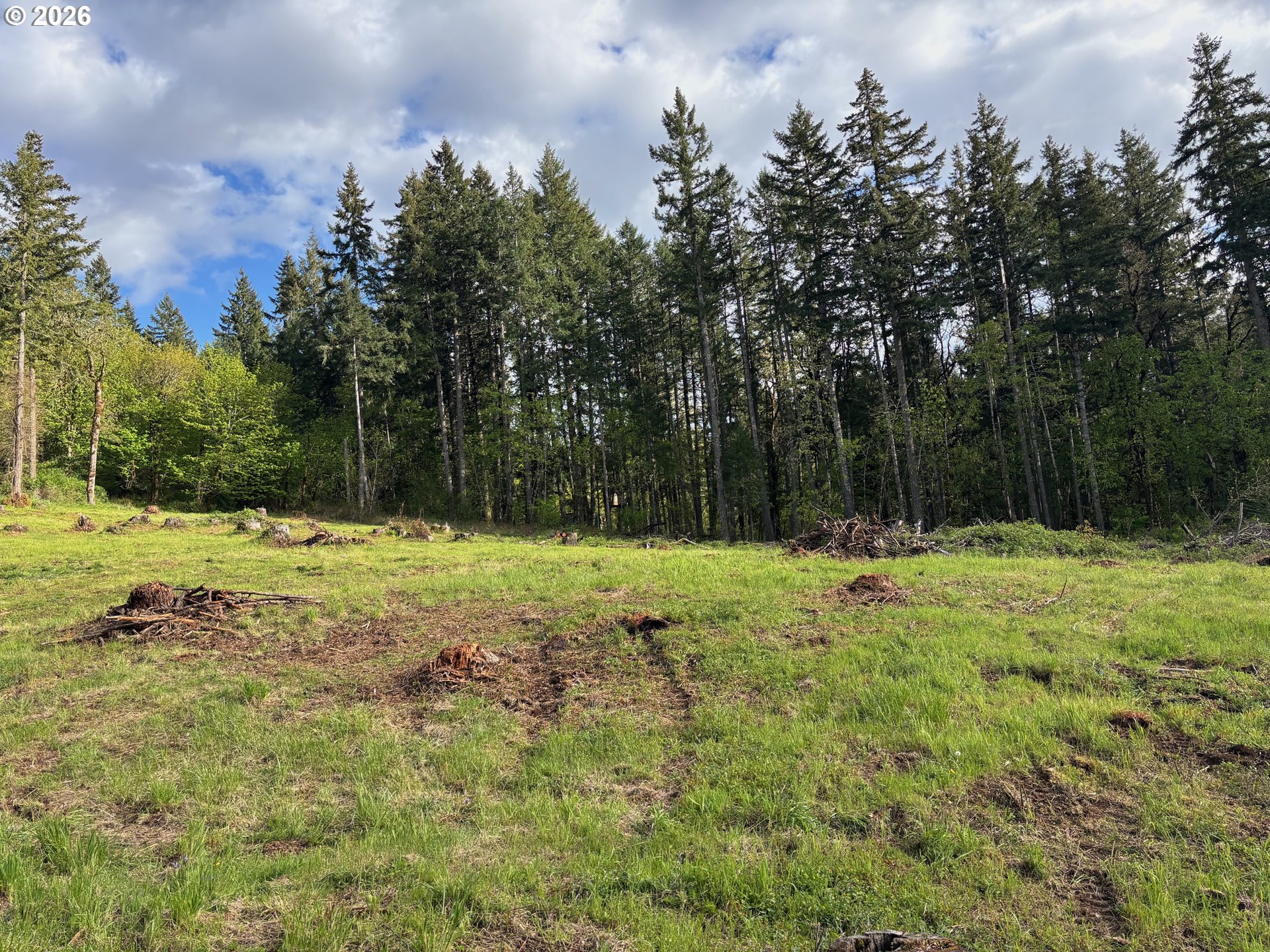 0 Kings Ridge Road, Unit 580533 Dallas, OR 97338 - Photo 2 of 9