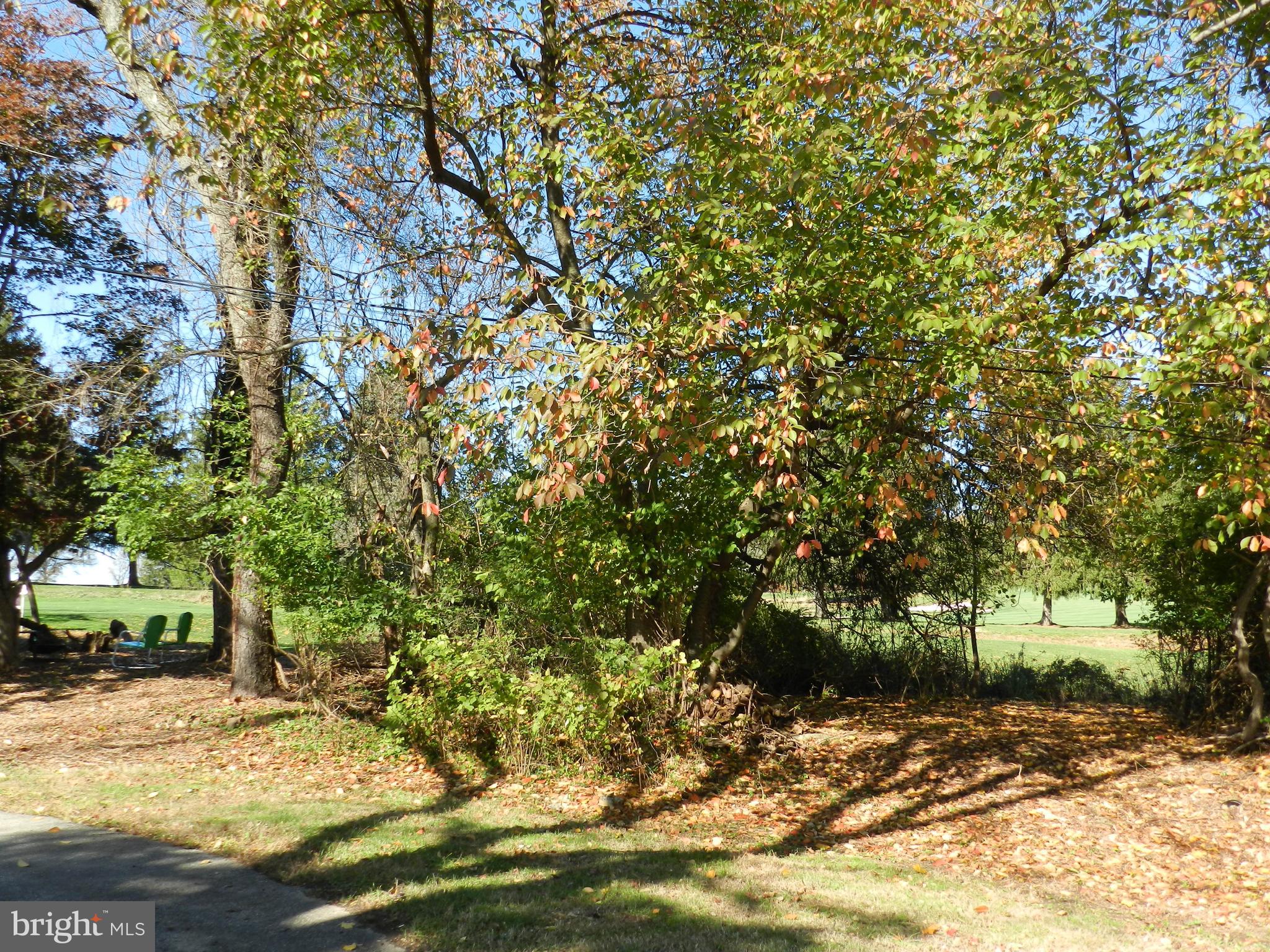 722 Hillview Road Malvern, PA 19355 - Photo 8 of 49 Privacy & a view!