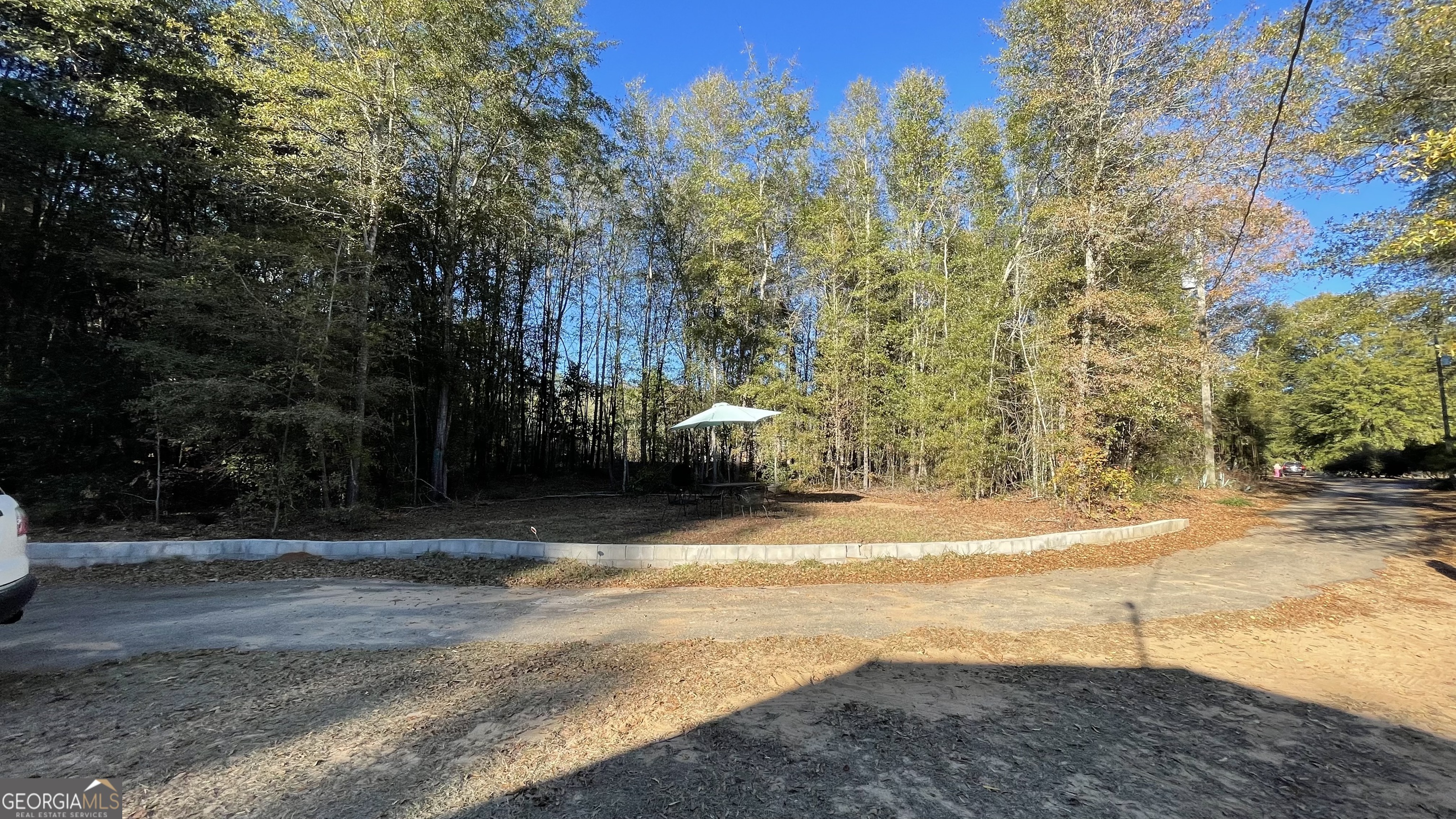 21 Ruby Road Hawkinsville, GA 31036 - Photo 7 of 44