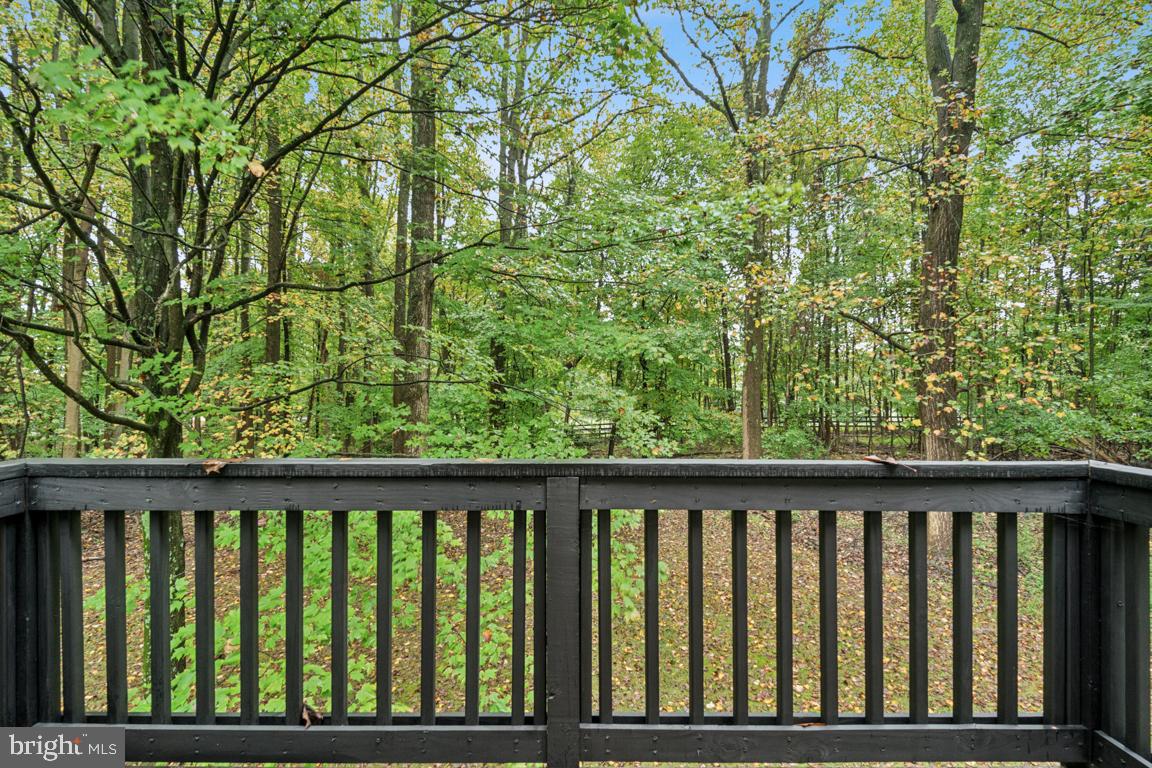 41945 Bald Hill Road Leesburg, VA 20176 - Photo 24 of 52