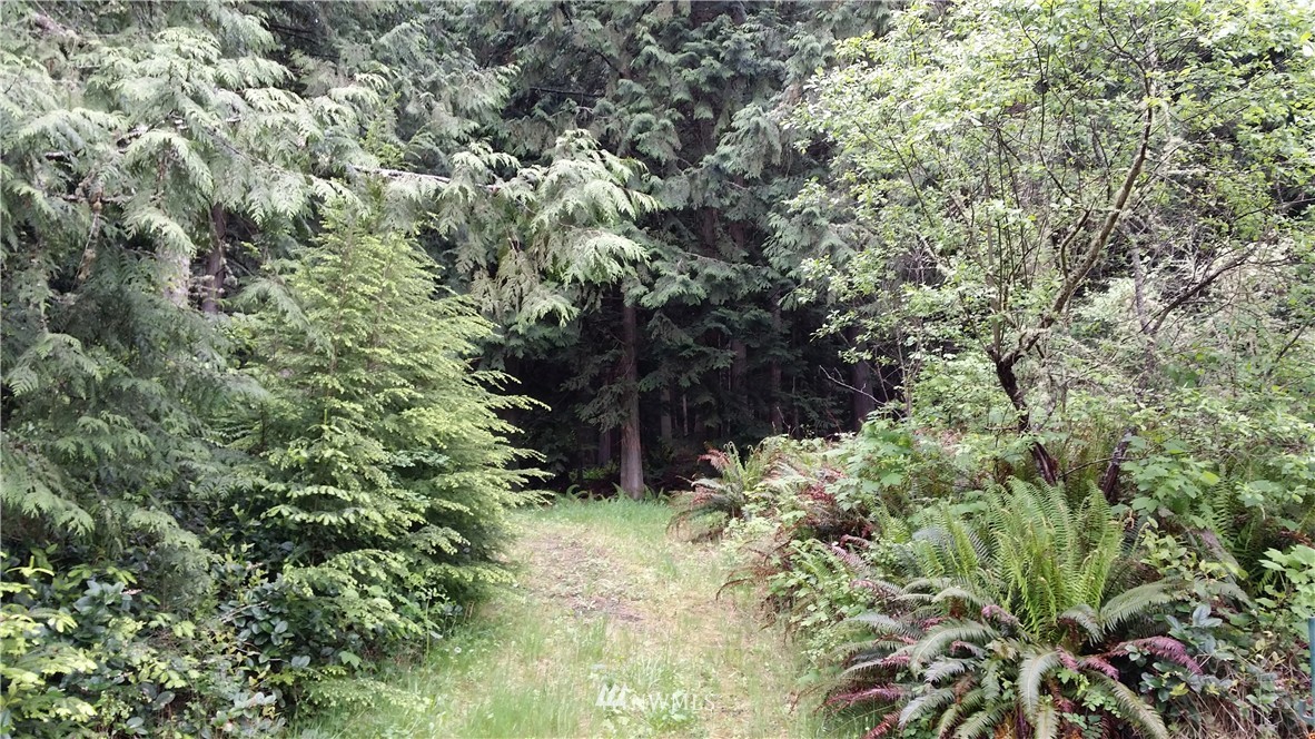 99999 Toad Road Sequim, WA 98382 - Photo 1 of 11