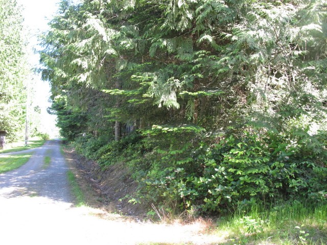 99999 Toad Road Sequim, WA 98382 - Photo 2 of 11