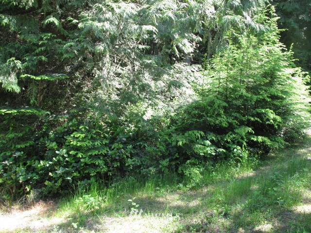 99999 Toad Road Sequim, WA 98382 - Photo 3 of 11