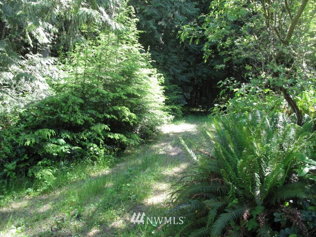99999 Toad Road Sequim, WA 98382 - Photo 4 of 11