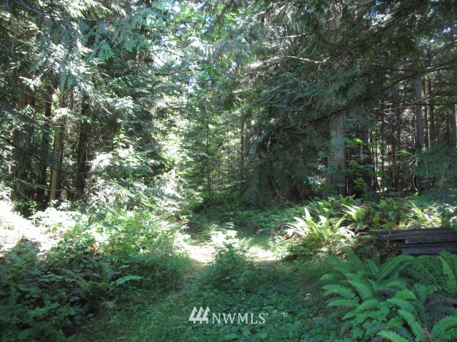 99999 Toad Road Sequim, WA 98382 - Photo 5 of 11