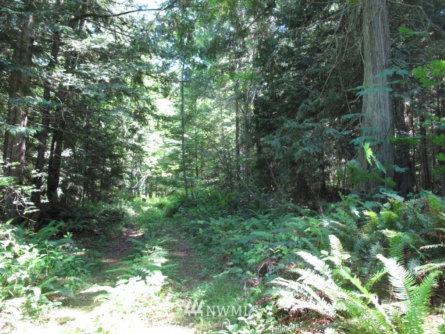 99999 Toad Road Sequim, WA 98382 - Photo 6 of 11