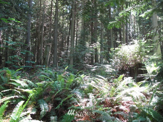 99999 Toad Road Sequim, WA 98382 - Photo 9 of 11