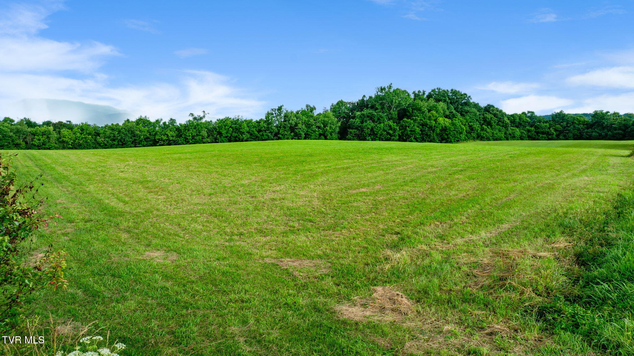 185 Lester Snapp Road, Unit LOT 1 Limestone, TN 37681 - Photo 4 of 13 001