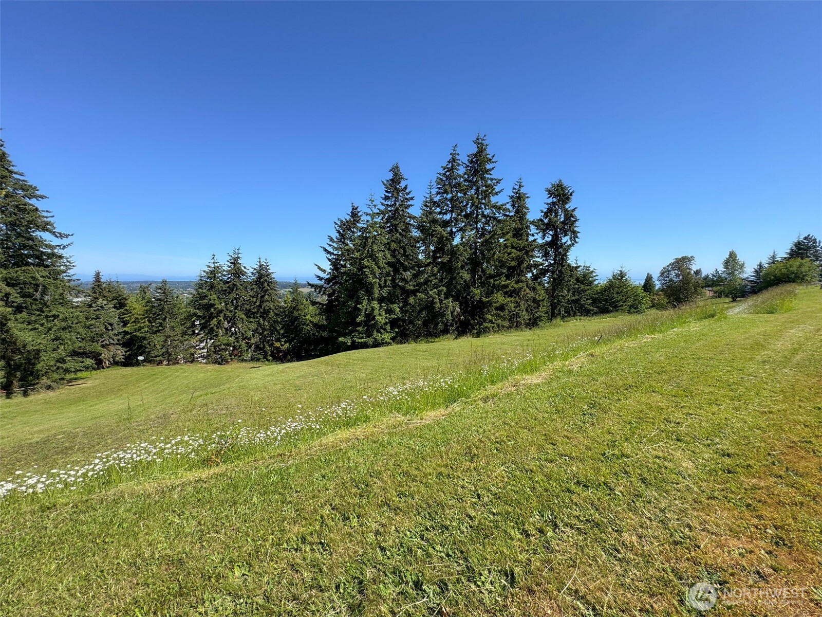 1 Owls Nest Road Sequim, WA 98382 - Photo 18 of 31 a view of a field with an ocean