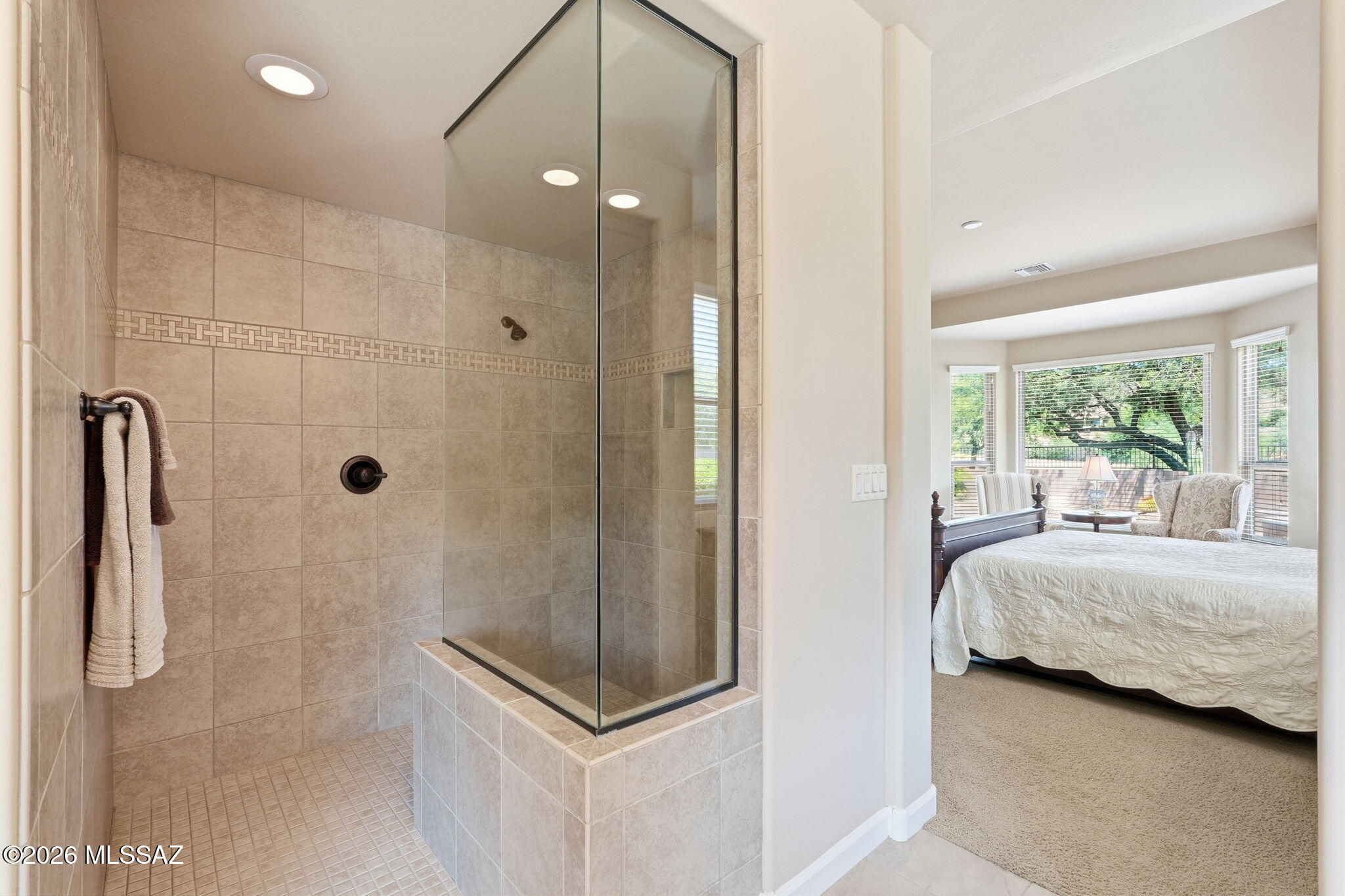 66162 East Box Elder Road Tucson, AZ 85739 - Photo 25 of 42 Primary walk-in shower