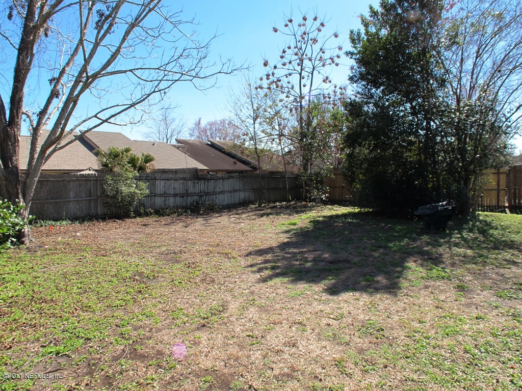 2423 Fernside Road Jacksonville, FL 32246 - Photo 11 of 32 Backyard #2