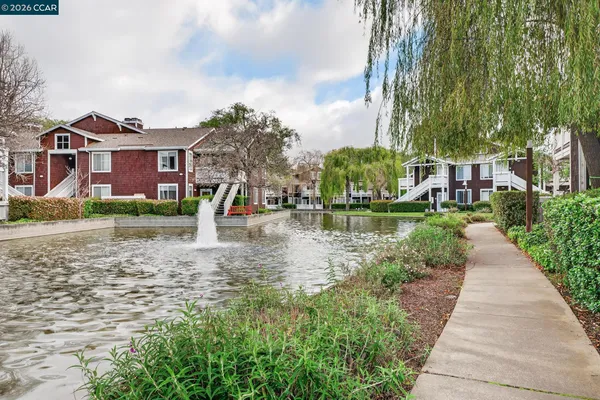 a view of a house with a yard and plants