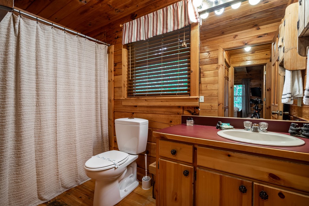 54 Ascherman Court Blue Ridge, GA 30513 - Photo 18 of 48 a bathroom with a sink a toilet and shower curtain