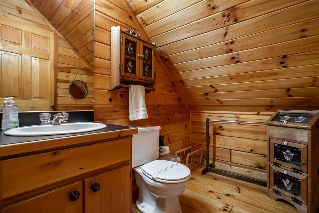 54 Ascherman Court Blue Ridge, GA 30513 - Photo 28 of 48 a bathroom with a toilet and a sink