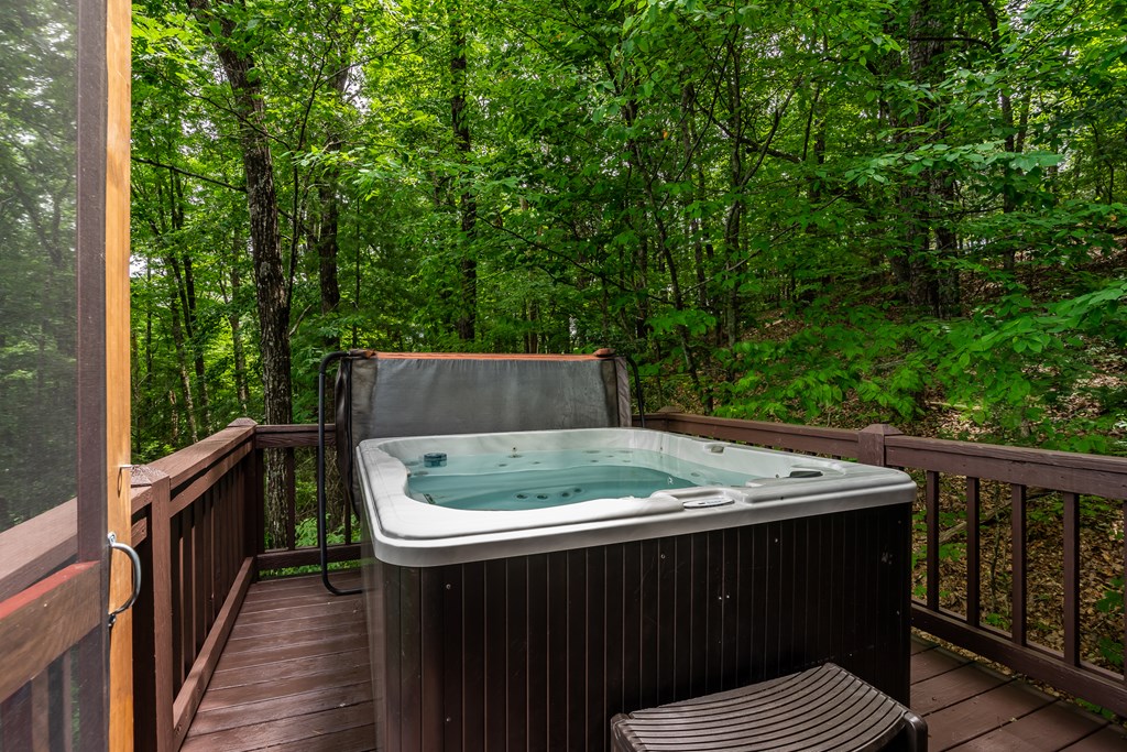 54 Ascherman Court Blue Ridge, GA 30513 - Photo 33 of 48 a wooden deck with trees in the background