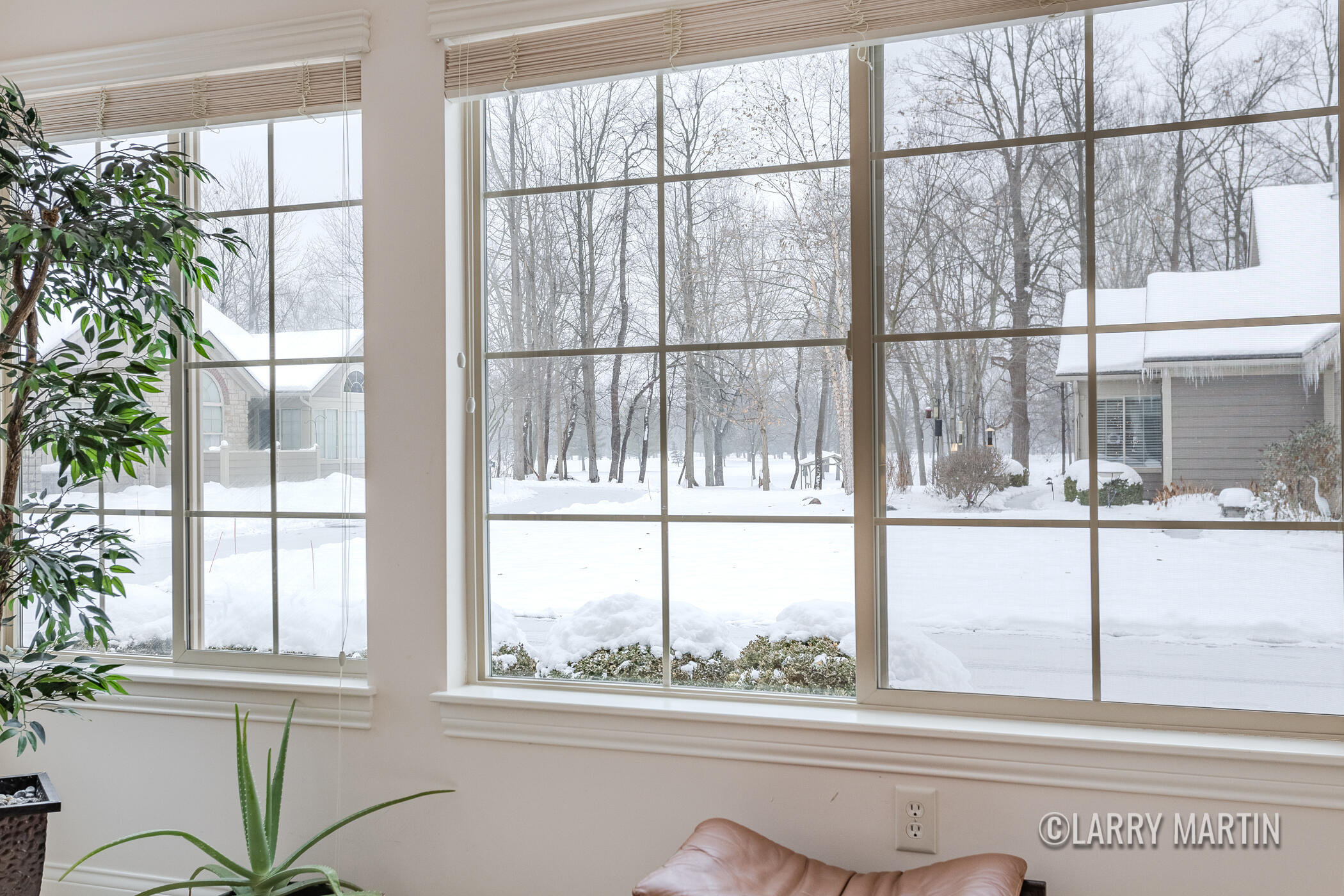 5331 Mapleside Lane Southwest Wyoming, MI 49418 - Photo 6 of 36 5331 Mapleside Ln SW-19