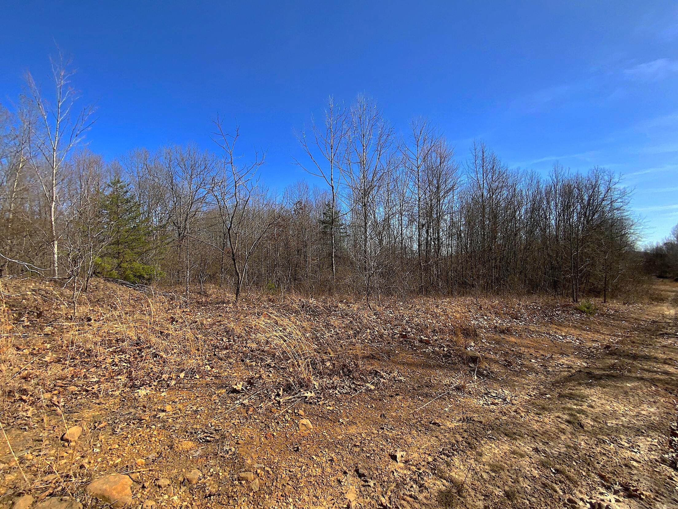 0 Kelly Road Ray, OH 45672 - Photo 15 of 46 Vinton County Kelly Rd 14