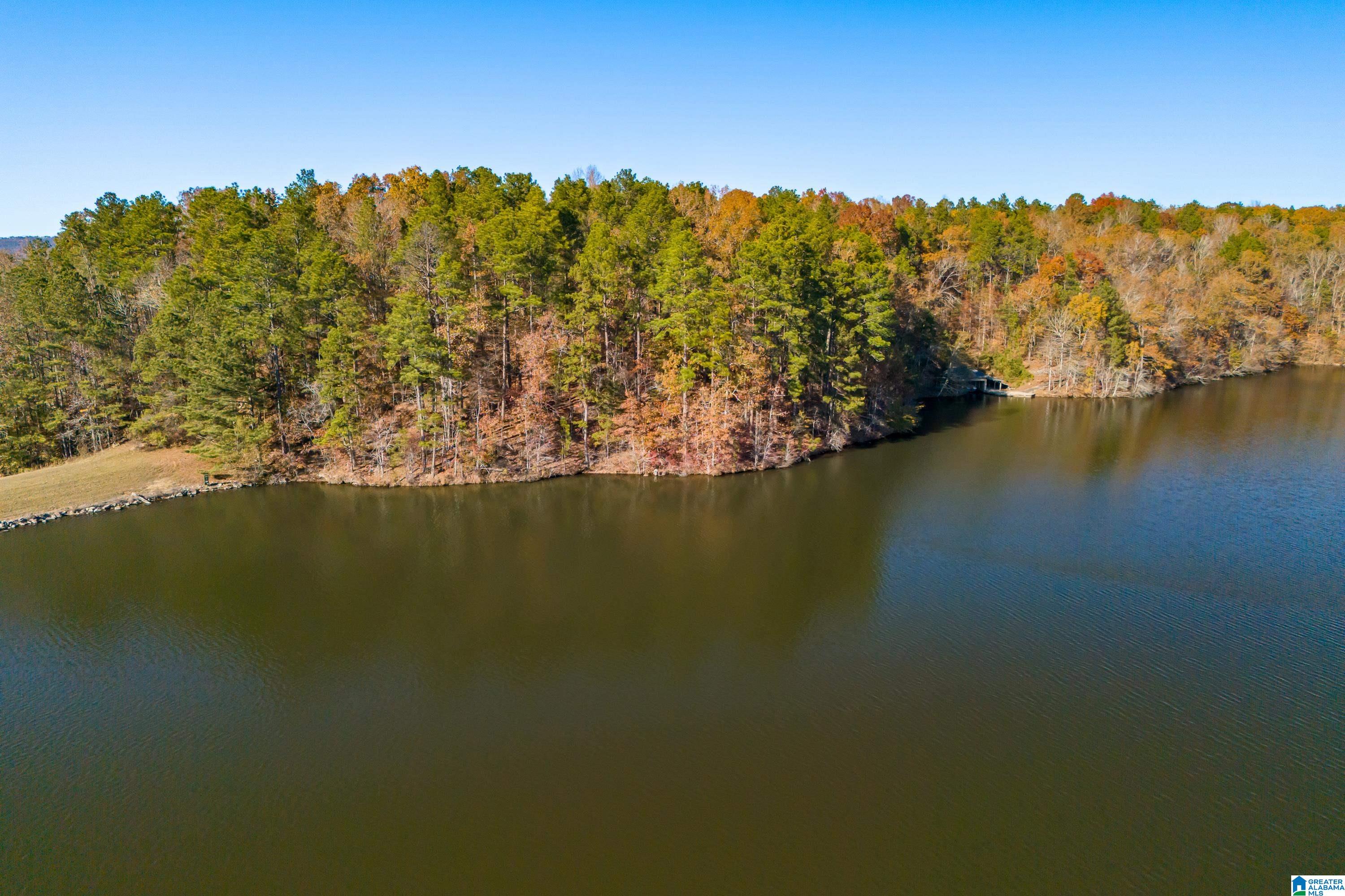 0 Pumpkin Hollow Road Sterrett, AL 35147 - Photo 6 of 55