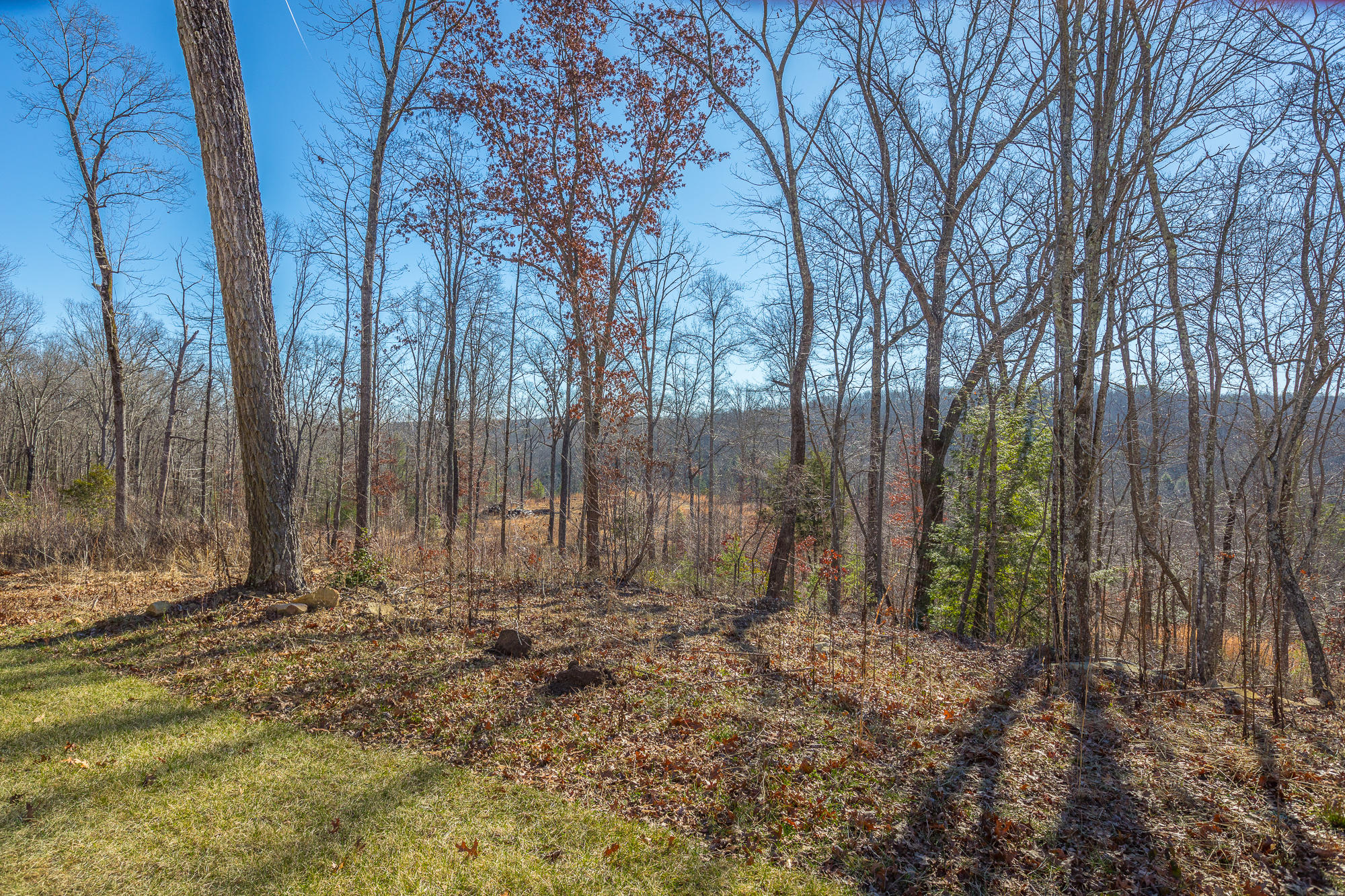 2316 Corral Road Signal Mountain, TN 37377 - Photo 65 of 81 2316 Corral Rd. HD-118